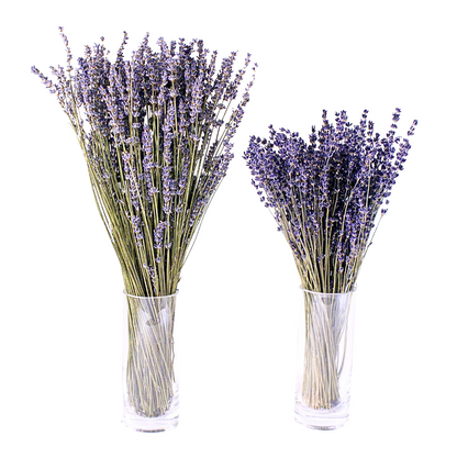 Dried Lavender