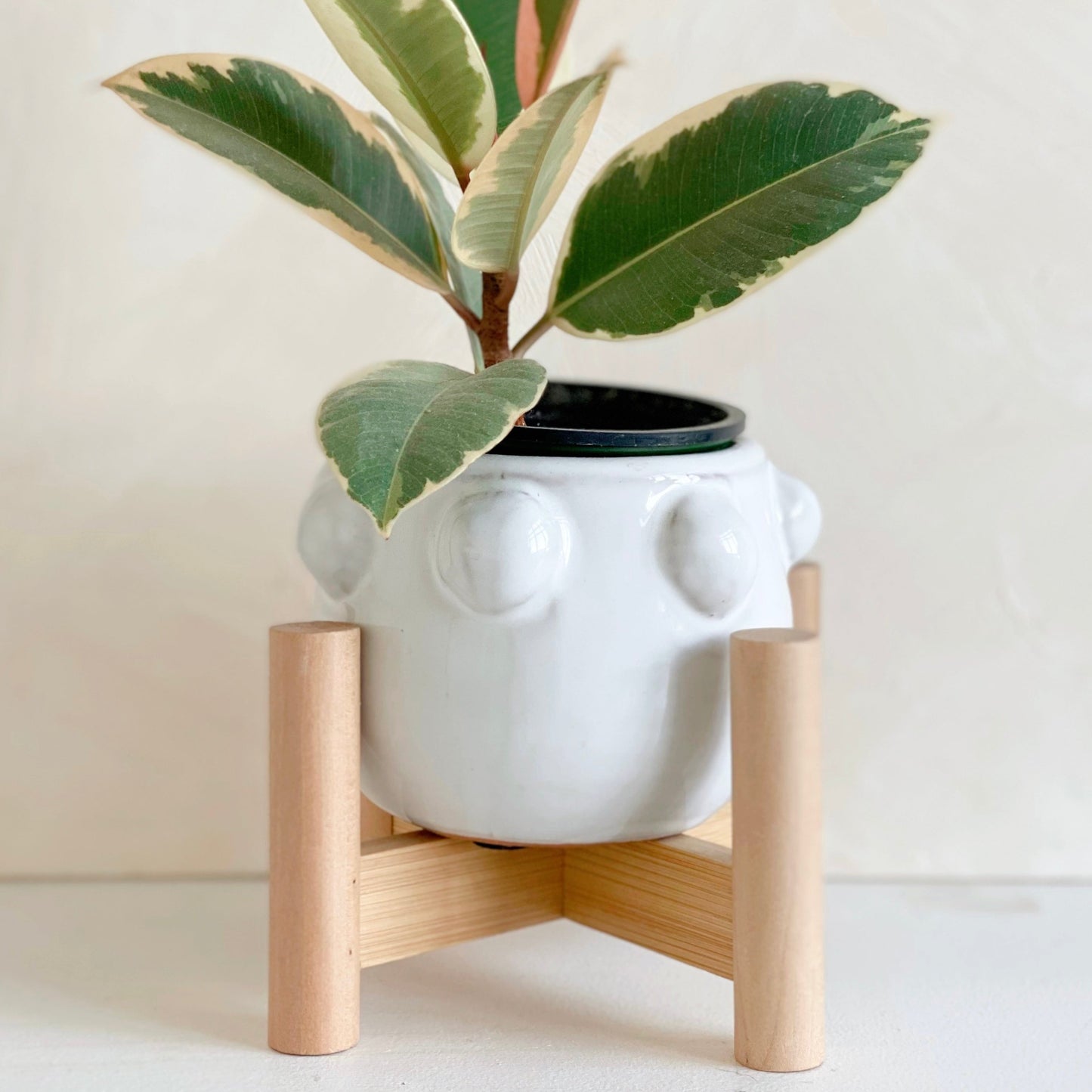 Fem Rosa Pot with Wood Stand