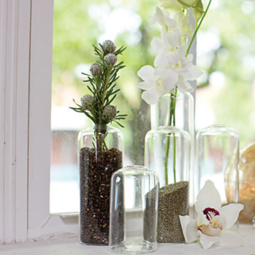 Highball Glass Bud Vases - Rental