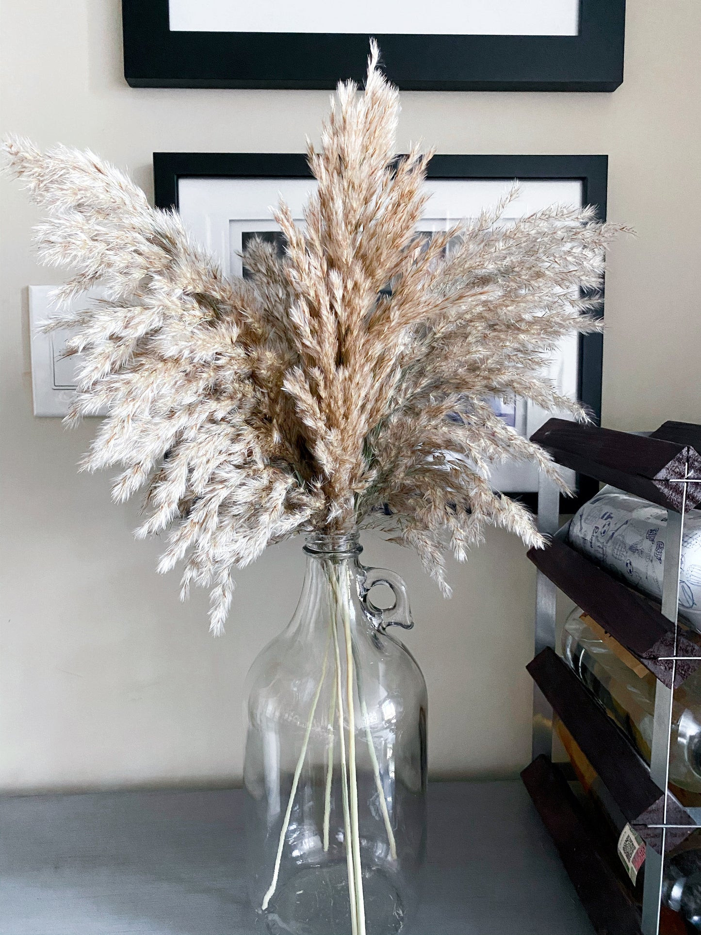 Natural Brown Pampas Grass