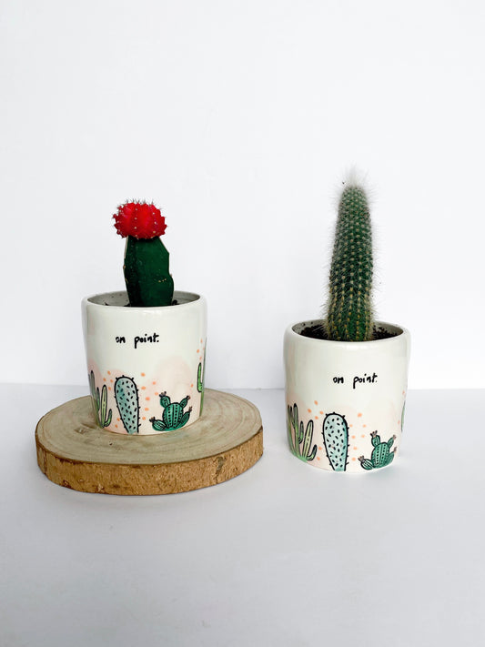 "on point" Cacti Planter