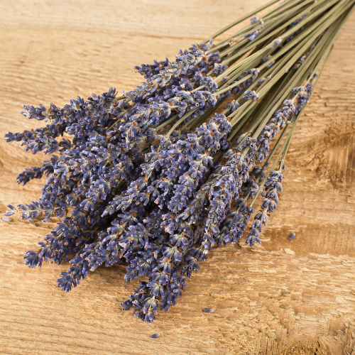 Dried Lavender