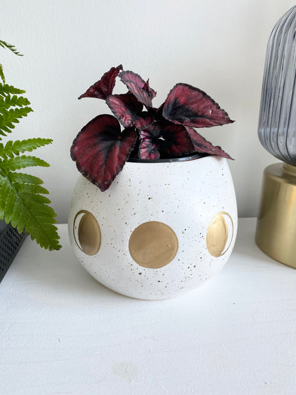 Moon Phase Pot