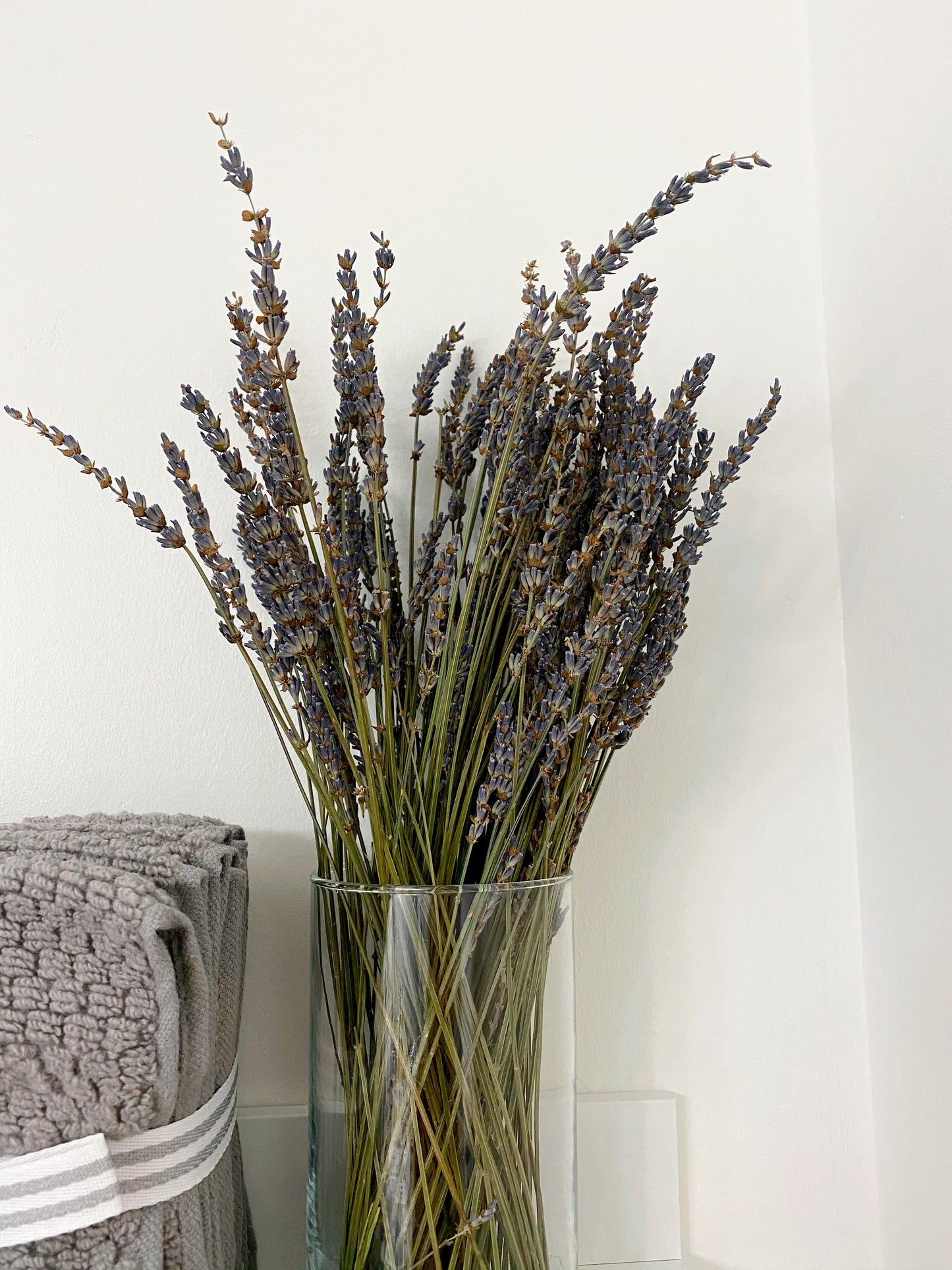 Dried Lavender