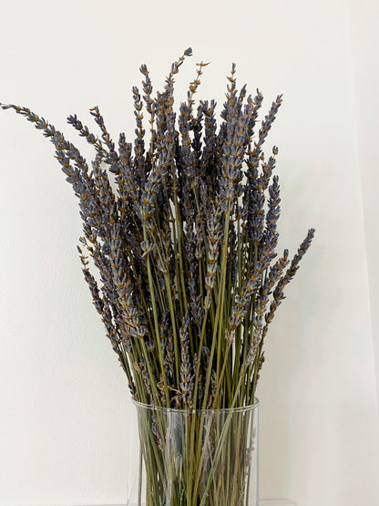 Dried Lavender